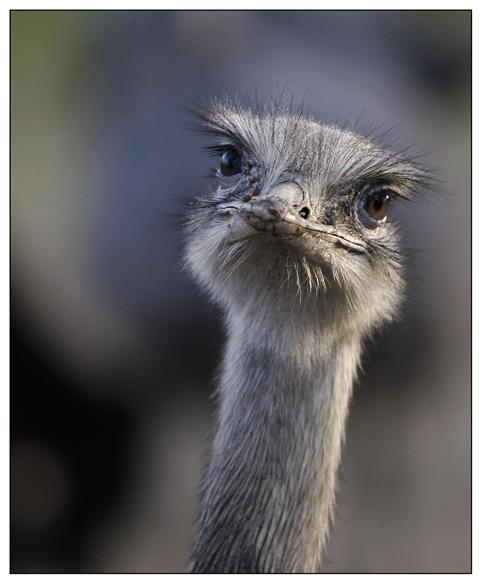 _MG_3618 Kopie_klein.jpg